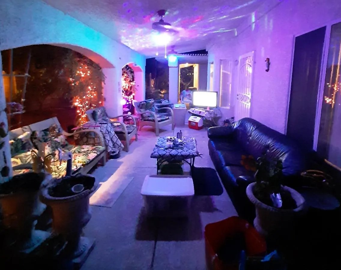 Catmosphere 2 Las Vegas