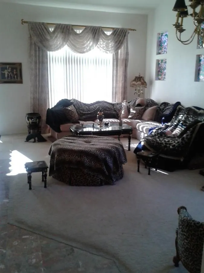 Catmosphere 2 Las Vegas United States